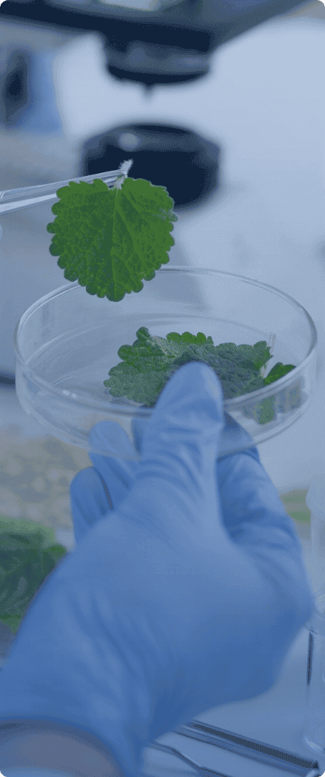 食品安全智能快检